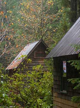 breitenbush cabins in the fall