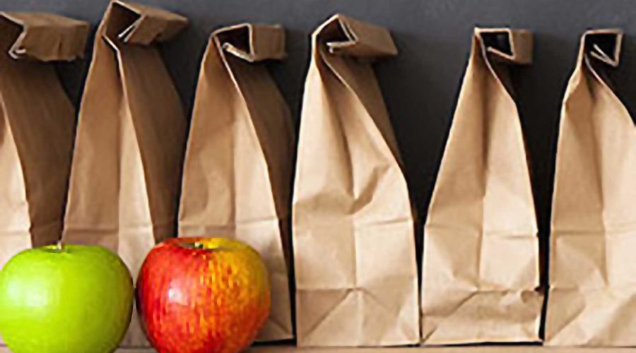 Feed Everyone, Living Earth's Brown Bag Project