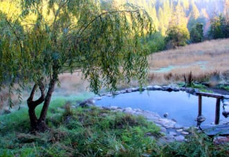 Breitenbush hot spring pool