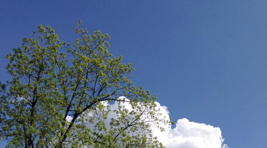 Beloved Earth, Boundless Sky