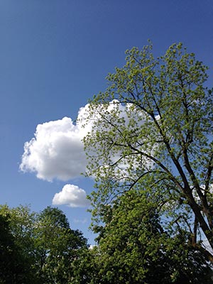 Beloved Earth, Boundless Sky Retreat