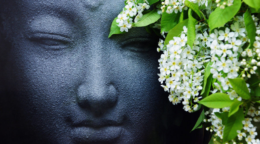 buddha meditating, with white lilacs