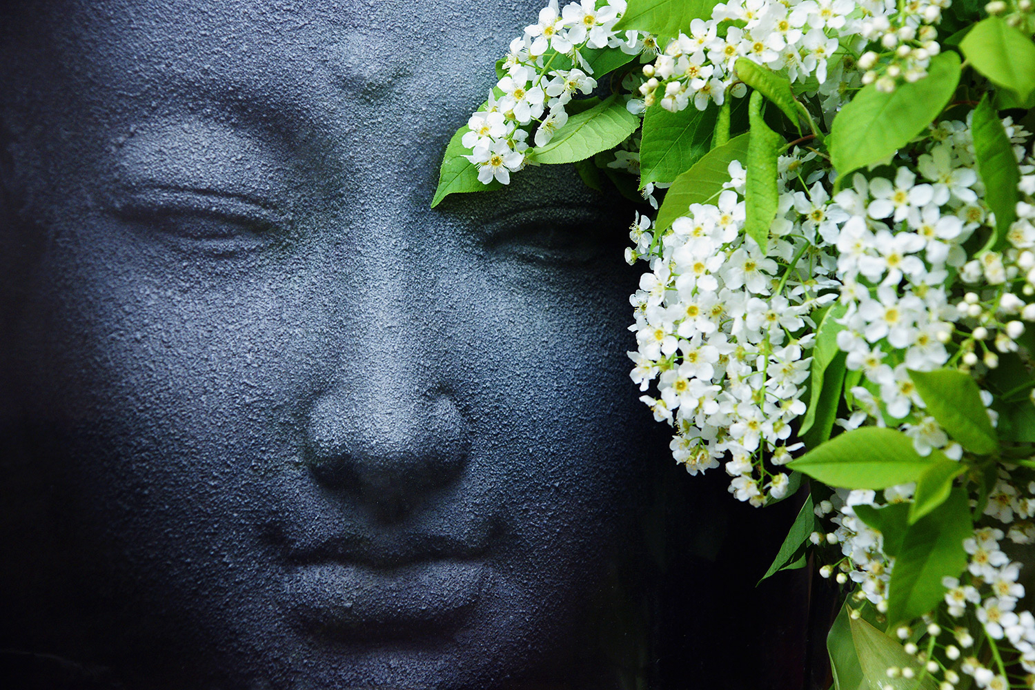 buddha meditating, with white lilacs