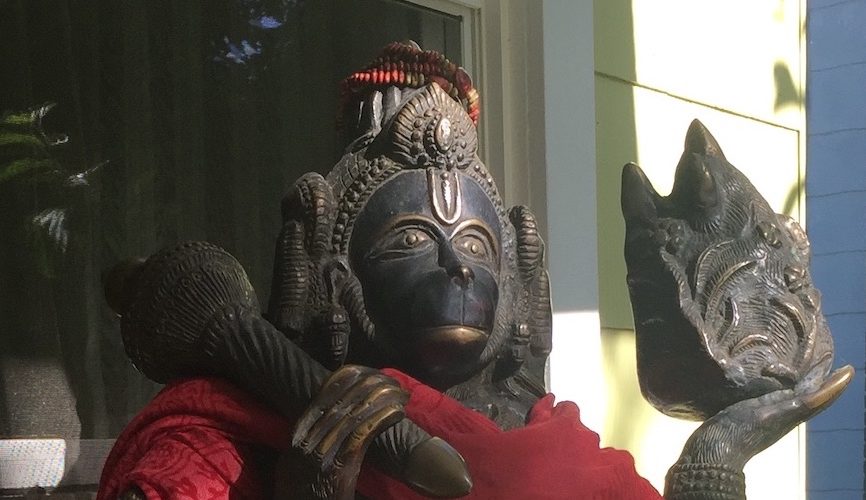 Hanuman in the morning light