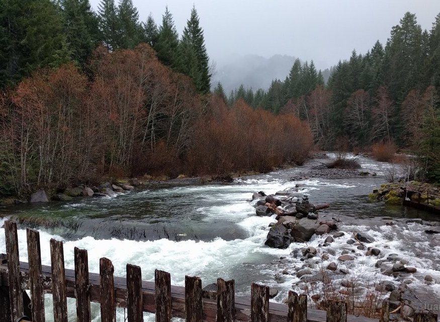 Breitenbush River from bridge, on retreat