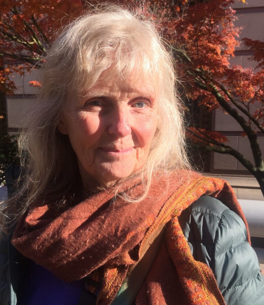 Betsy Toll, November 2018