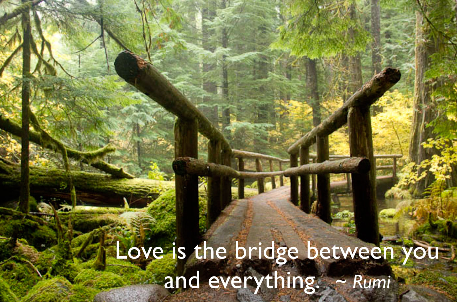 Love is the bridge . . . 