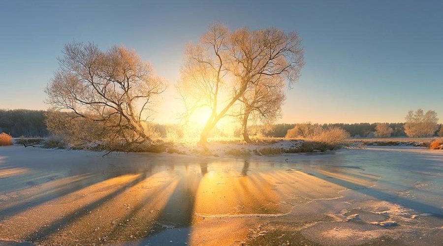 sunrise behind barren snow-dusted trees