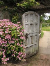 Open gate to a garden