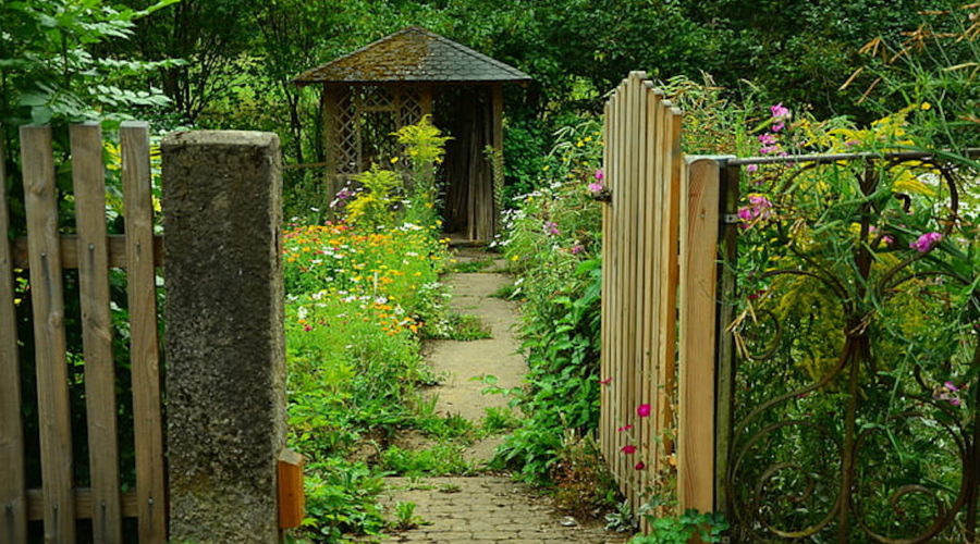 A wooden gate opens through a lush garden to a small temple