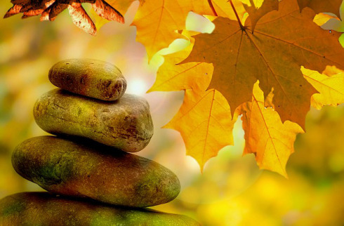 Stones with sunlight through autumn leaves