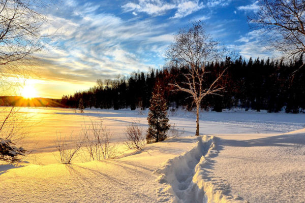 A bright winter sunrise