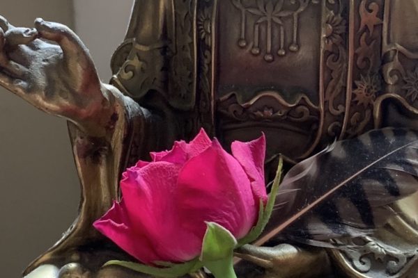 Hand of Buddha with rose bud and feather