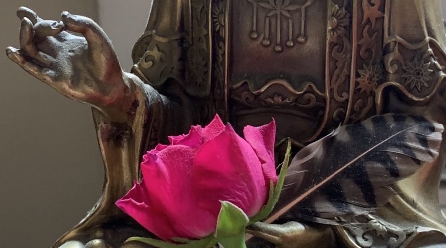 Hand of Buddha with rose bud and feather