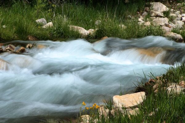 A rushing creek in spring.