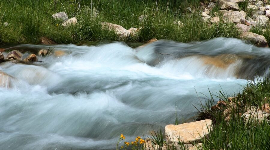 A rushing creek in spring.