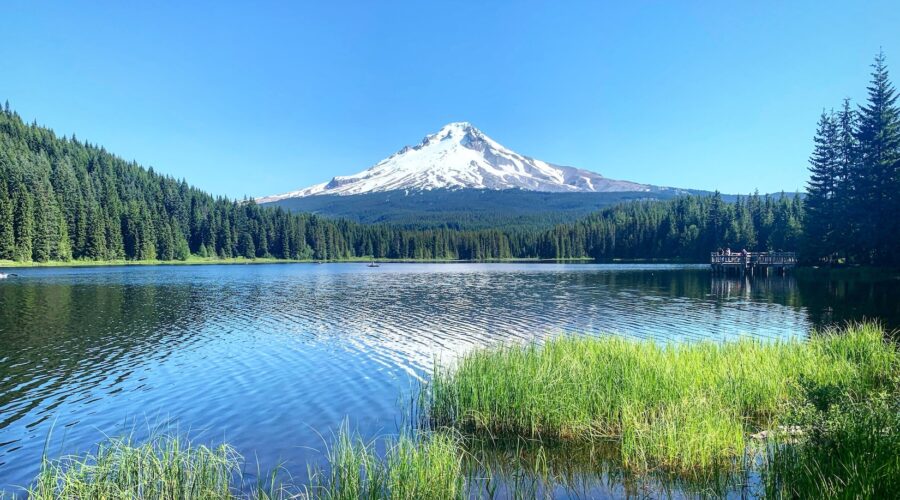 A glassy lake with Mount Hood and forests