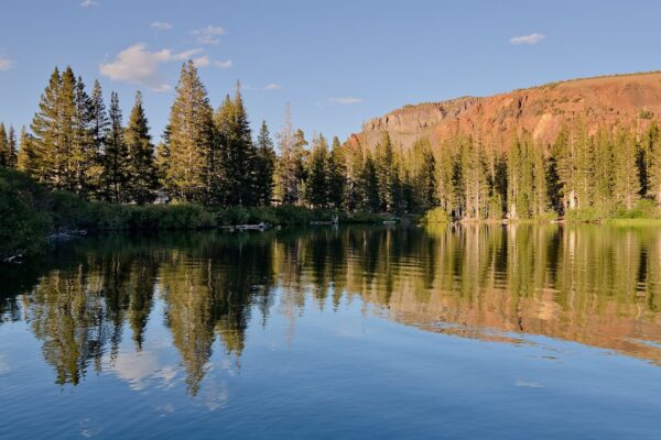 Forest eflection in autumn on Lake Mary at Mammoth